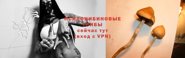 мдпв Баксан