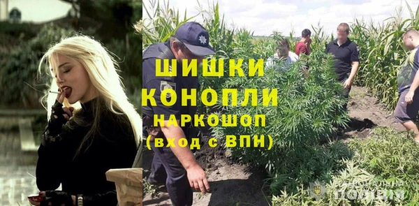 шишки Балабаново