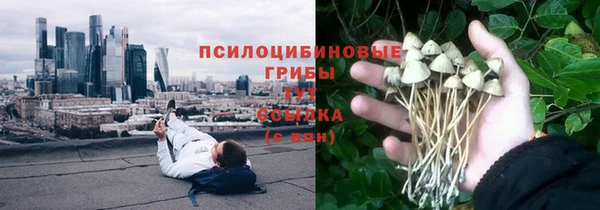 первитин Балахна