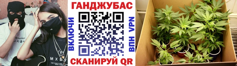 купить  цена  Болохово  блэк спрут зеркало  Каннабис гибрид 